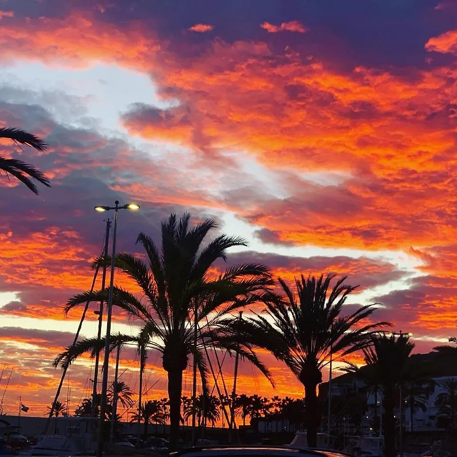 B&B Villa Michieli Marbella Bed & Breakfast