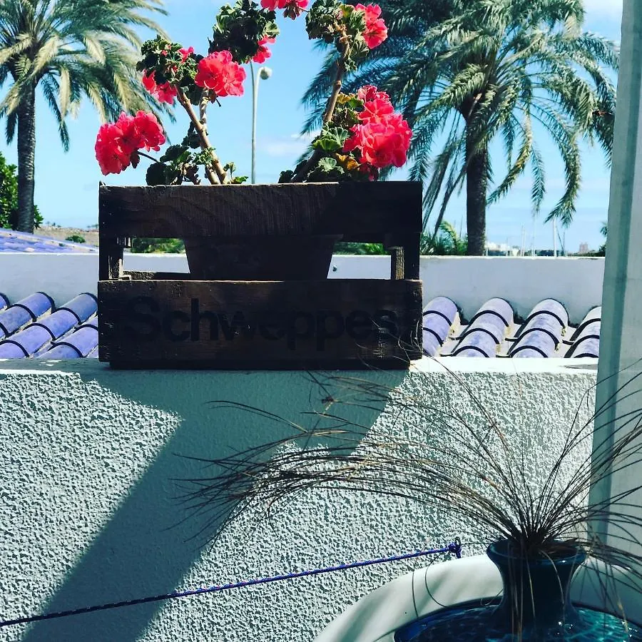B&B Villa Michieli Marbella Bed & Breakfast